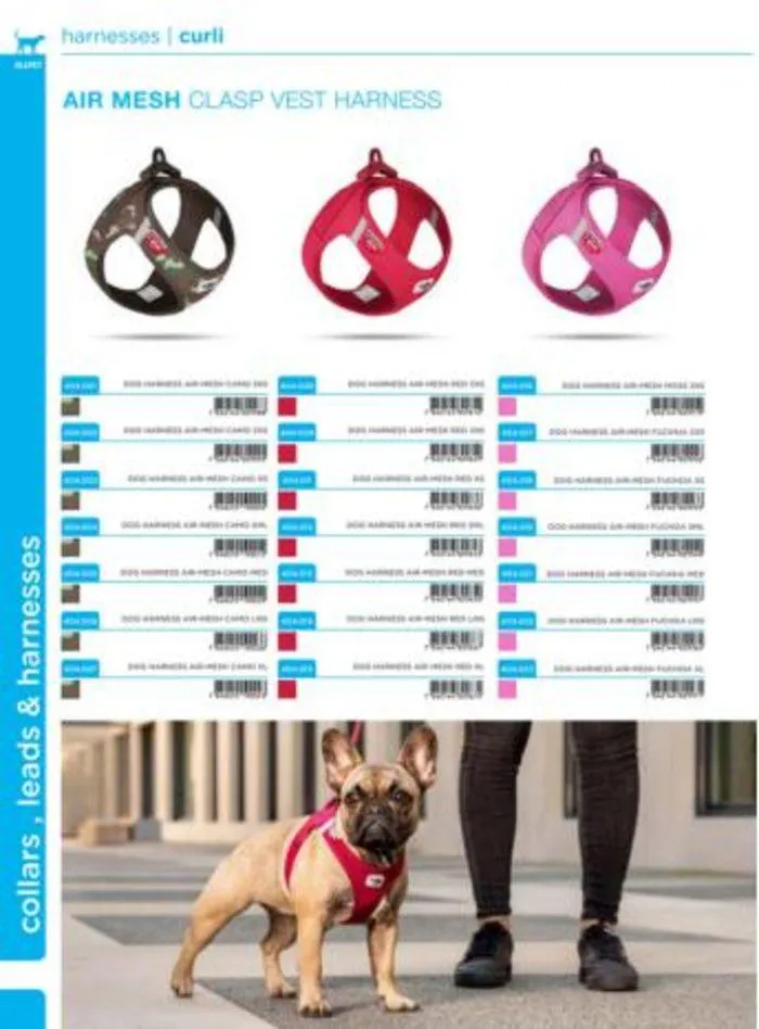 Dog Catalogue 2024 - Catalogue valid from 4 January to 31 December 2024 - page 52