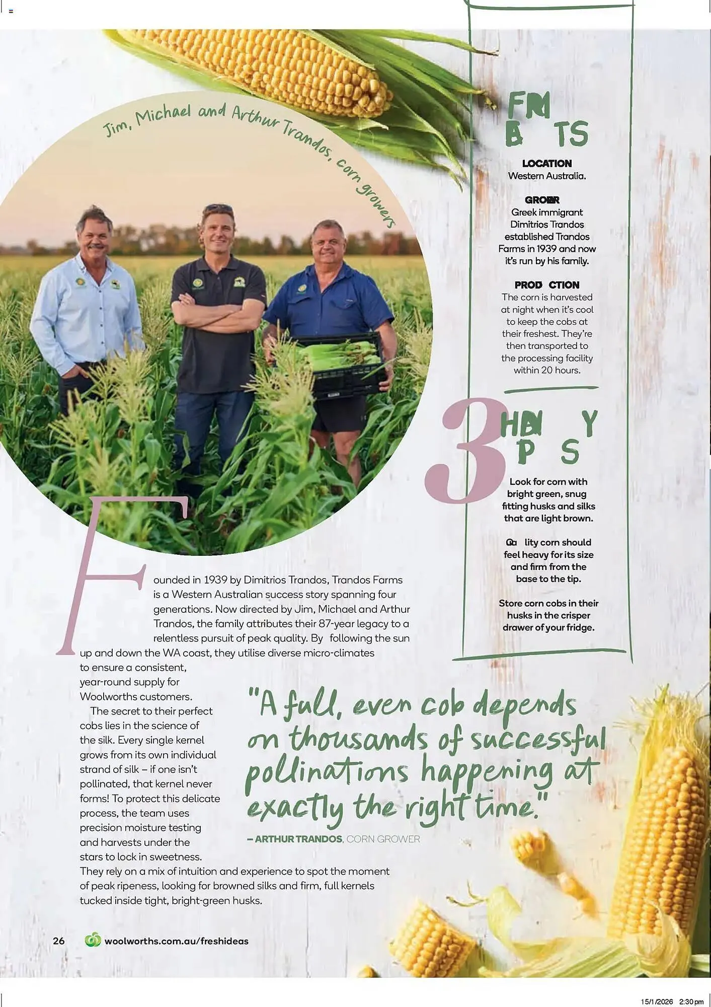 Woolworths catalogue - Catalogue valid from 19 February to 31 March 2026 - page 26