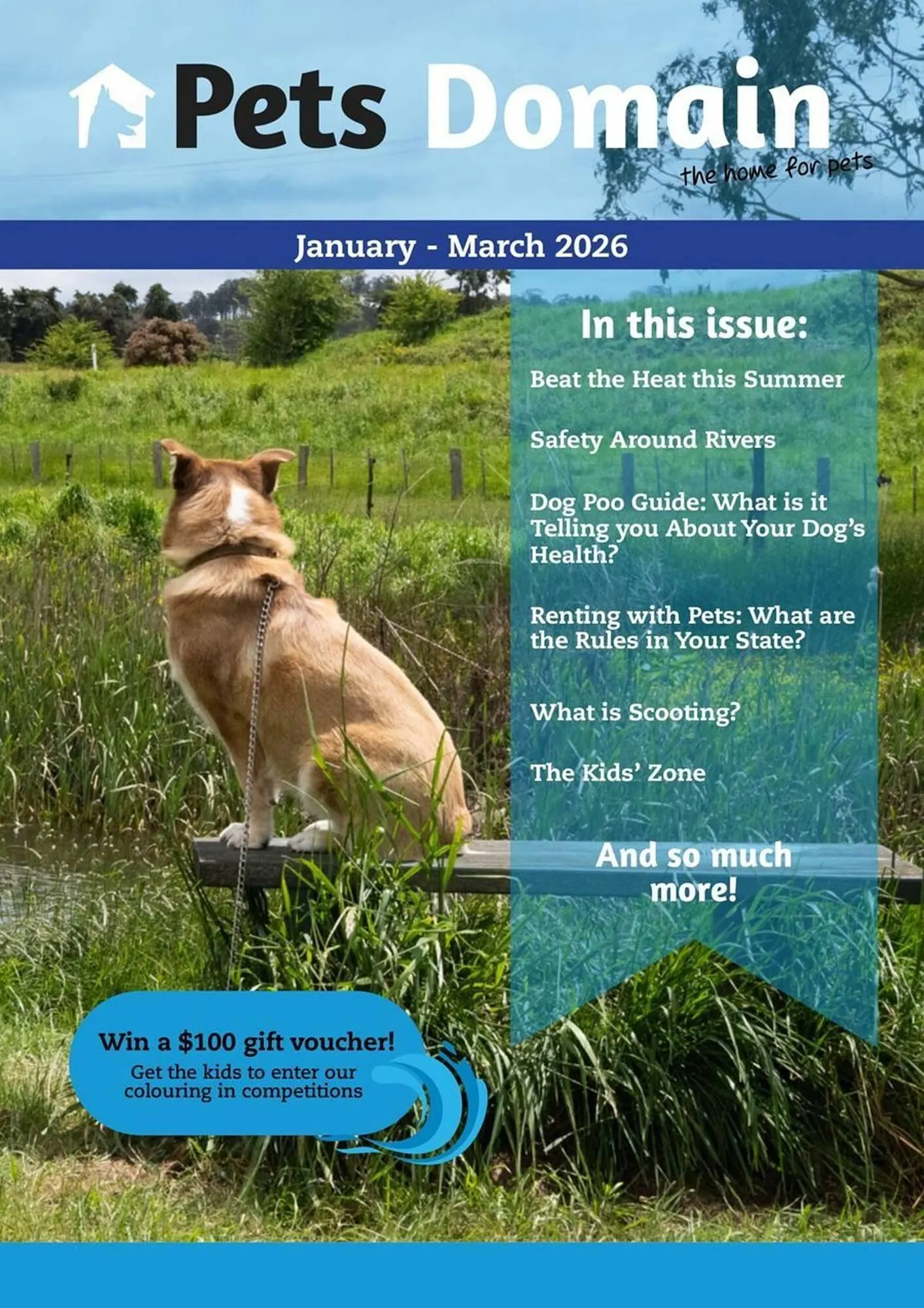Pets Domain catalogue - Catalogue valid from 1 January to 31 March 2026 - page 1