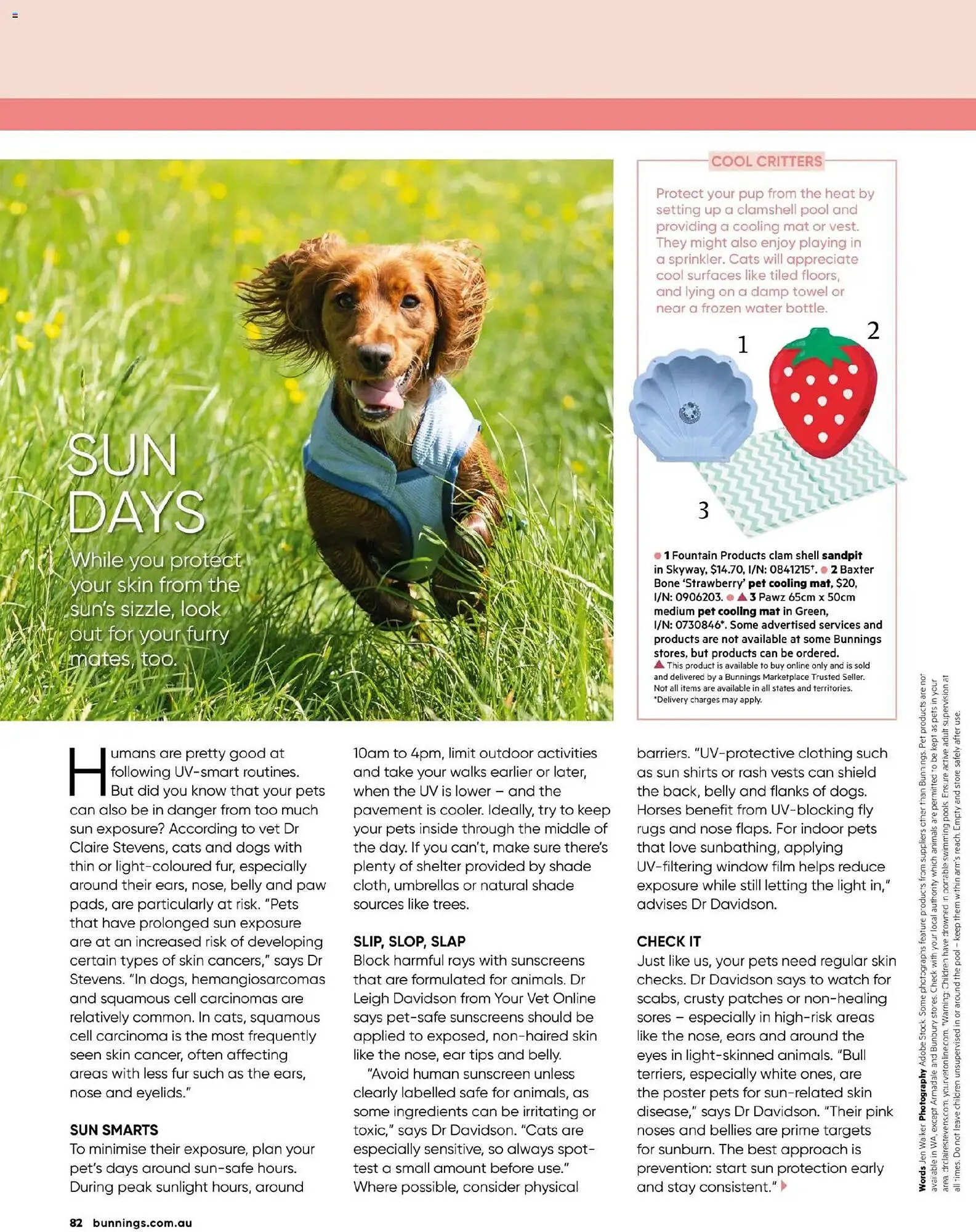 Bunnings catalogue - Catalogue valid from 31 October to 30 November 2025 - page 82