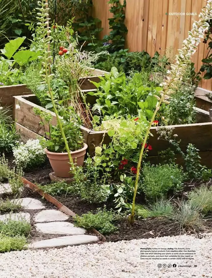 January 2025 - Catalogue valid from 1 January to 31 January 2025 - page 28