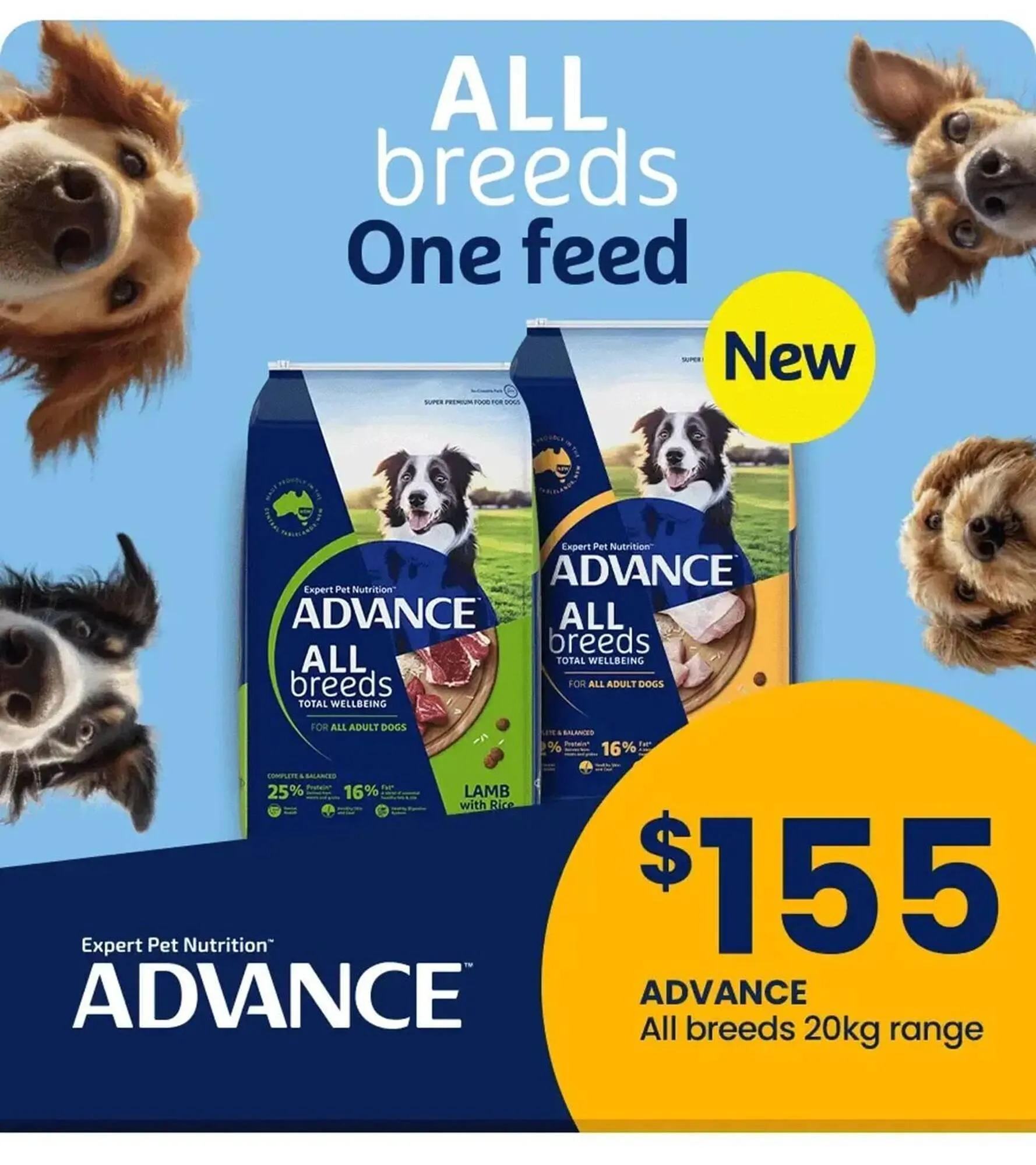 Pet stock catalogue - Catalogue valid from 31 October to 16 November 2025 - page 2