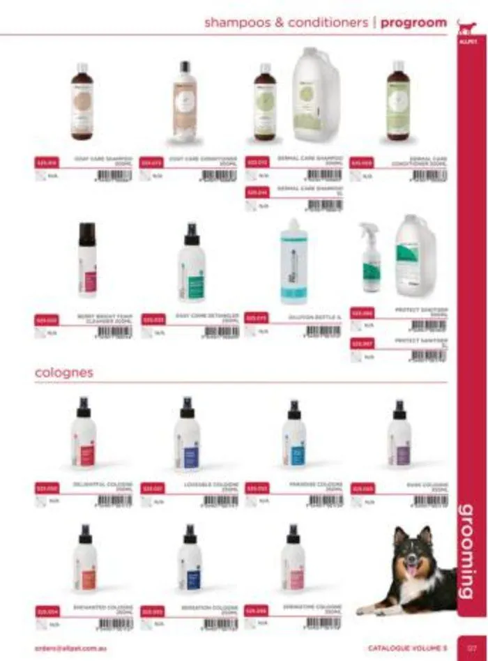 Dog Catalogue 2024 - Catalogue valid from 4 January to 31 December 2024 - page 125