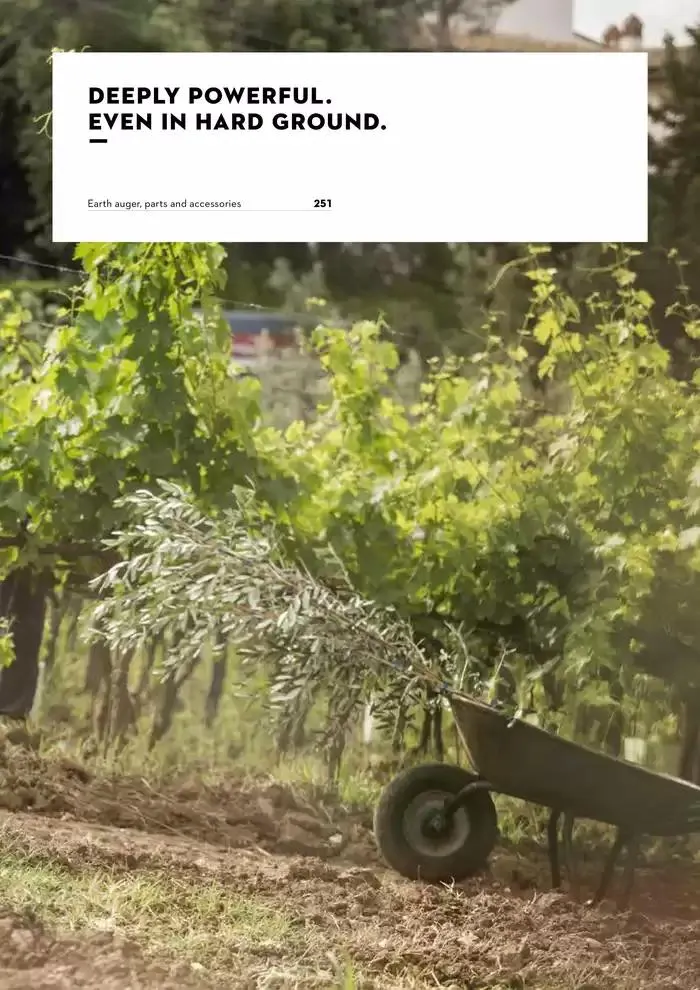 Catalogue 2024 - Catalogue valid from 26 June to 5 January 2025 - page 249