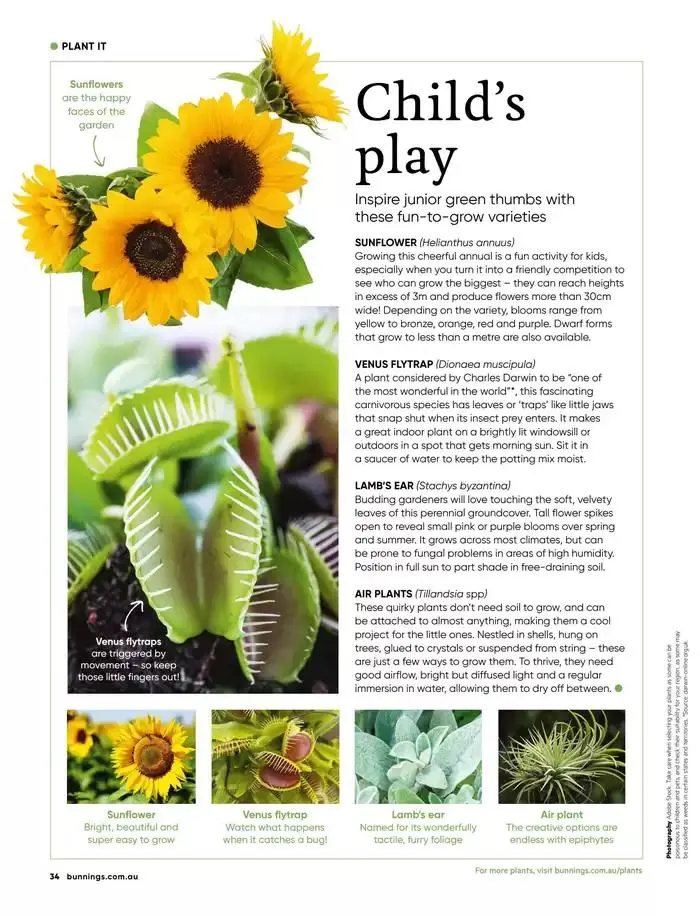 Magazine February 2025 - Catalogue valid from 1 February to 28 February 2025 - page 34