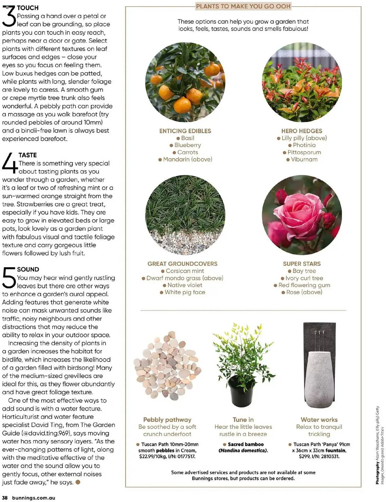 Bunnings catalogue - Catalogue valid from 1 April to 30 April 2025 - page 38