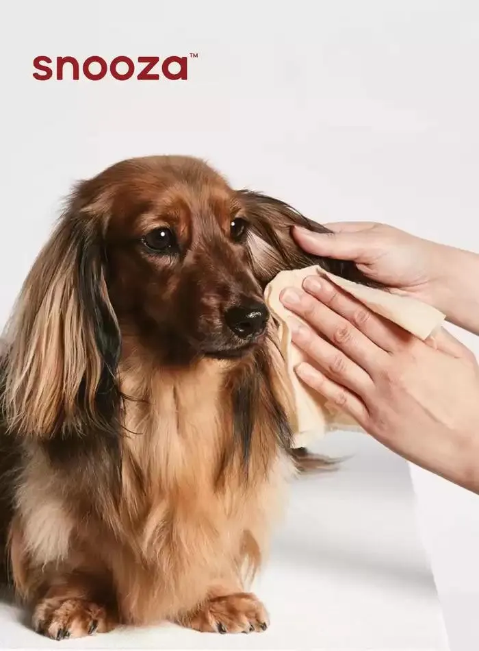 Dog Catalogue 2025 - Catalogue valid from 3 March to 31 December 2025 - page 94