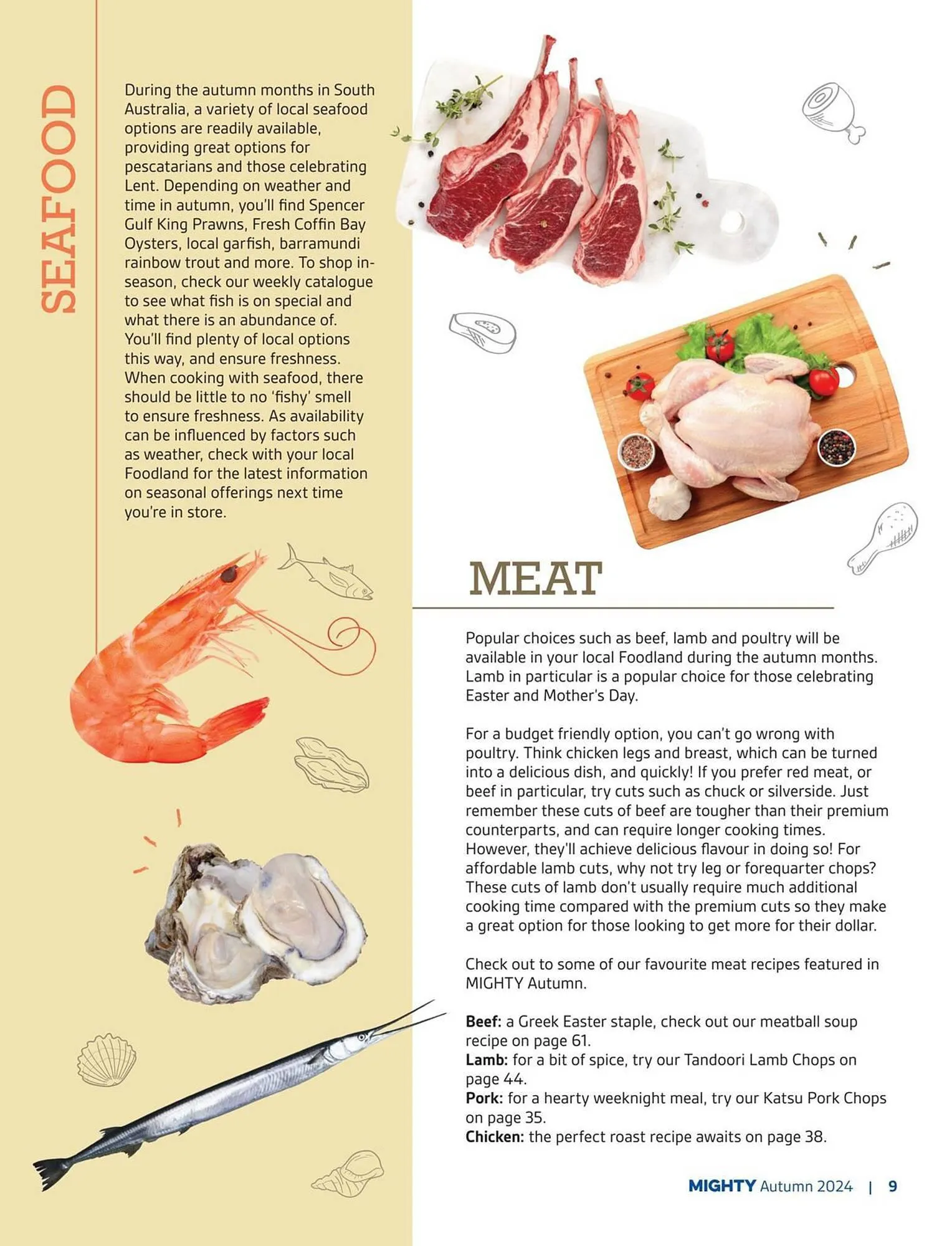 Foodland catalogue - Catalogue valid from 28 February to 31 May 2024 - page 67