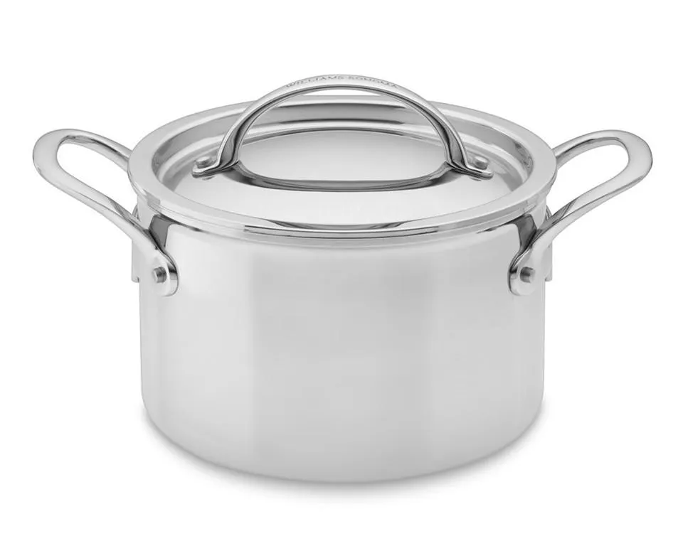 Williams Sonoma Thermo-Clad™ Stainless-Steel Soup Pot, 3.8 L