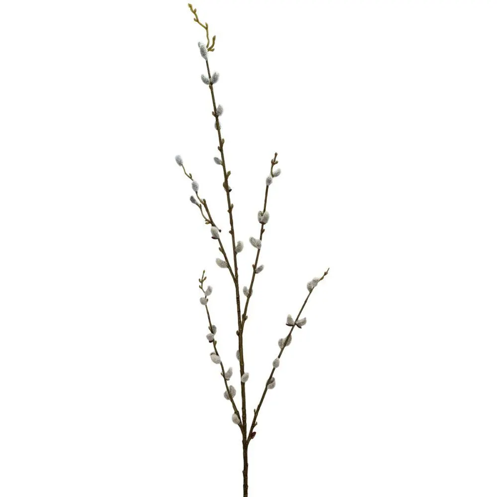 Pussy Willow Branch 115cm