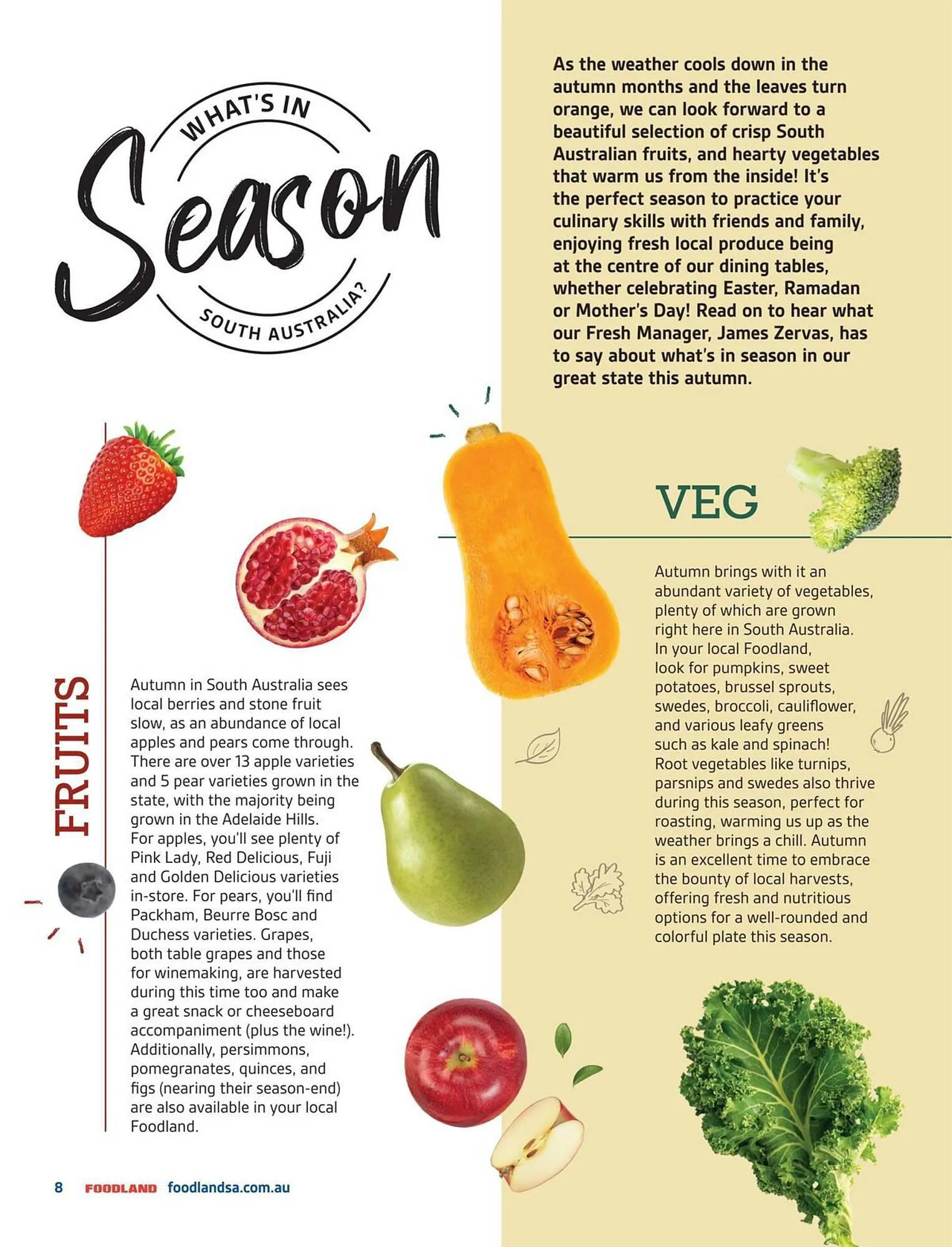 Foodland catalogue - Catalogue valid from 28 February to 31 May 2024 - page 66