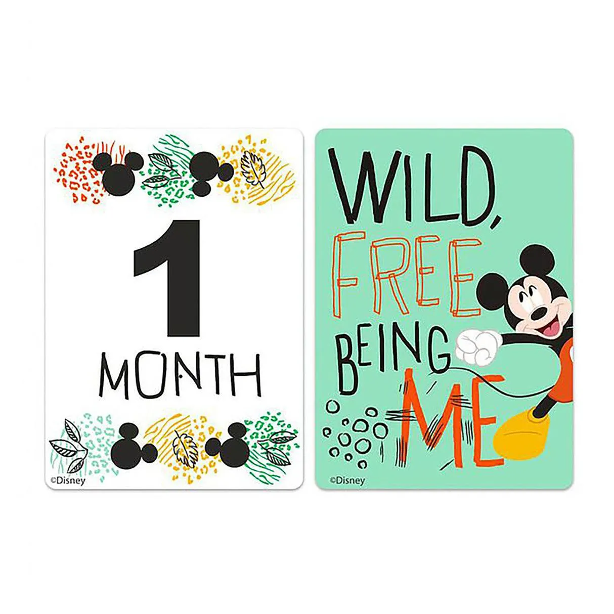 Disney Baby Mickey Doodle Zoo Milestone Cards