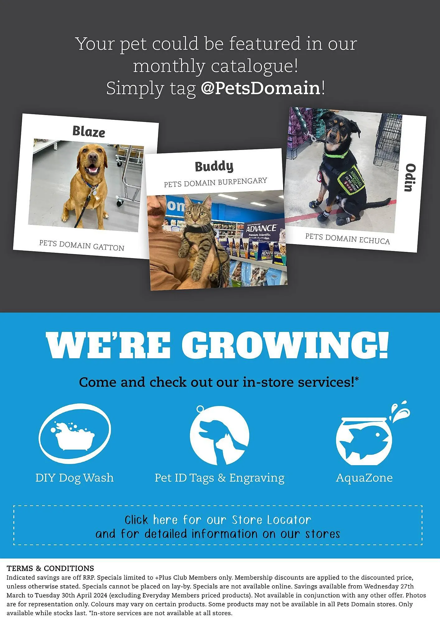Pets Domain catalogue - Catalogue valid from 27 March to 30 April 2024 - page 13