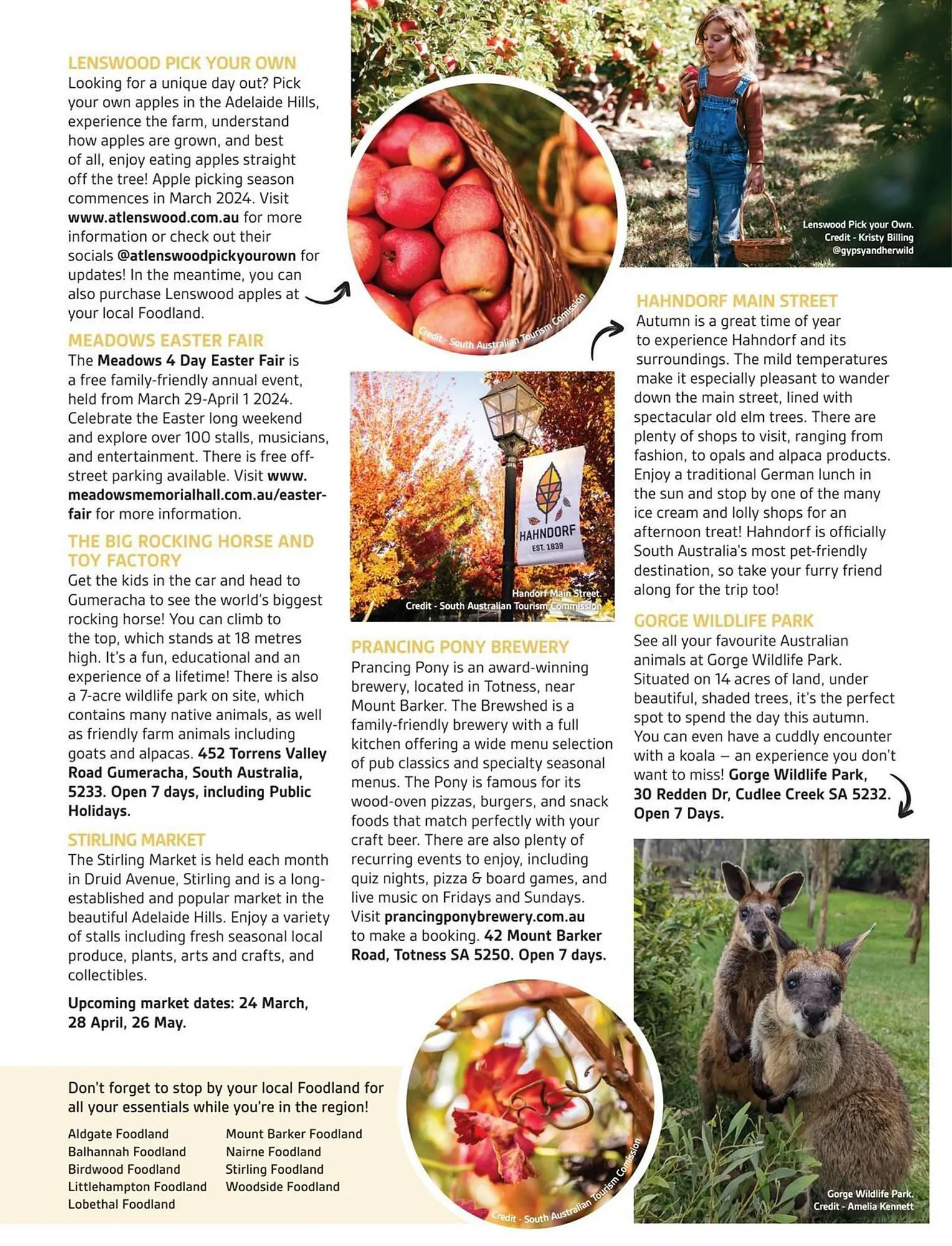 Foodland catalogue - Catalogue valid from 28 February to 31 May 2024 - page 17