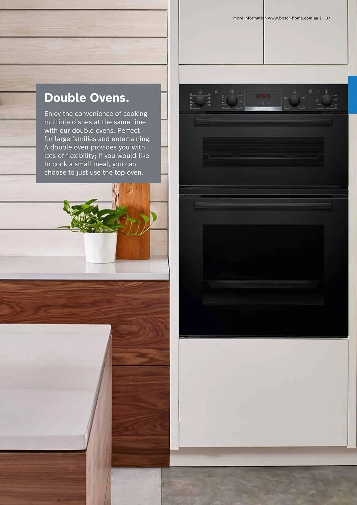 Bosch catalogue - Catalogue valid from 16 October to 30 April 2024 - page 37