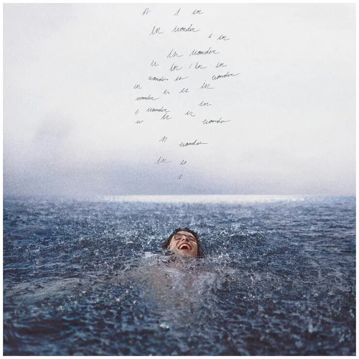 Shawn Mendes Wonder Vinyl Album