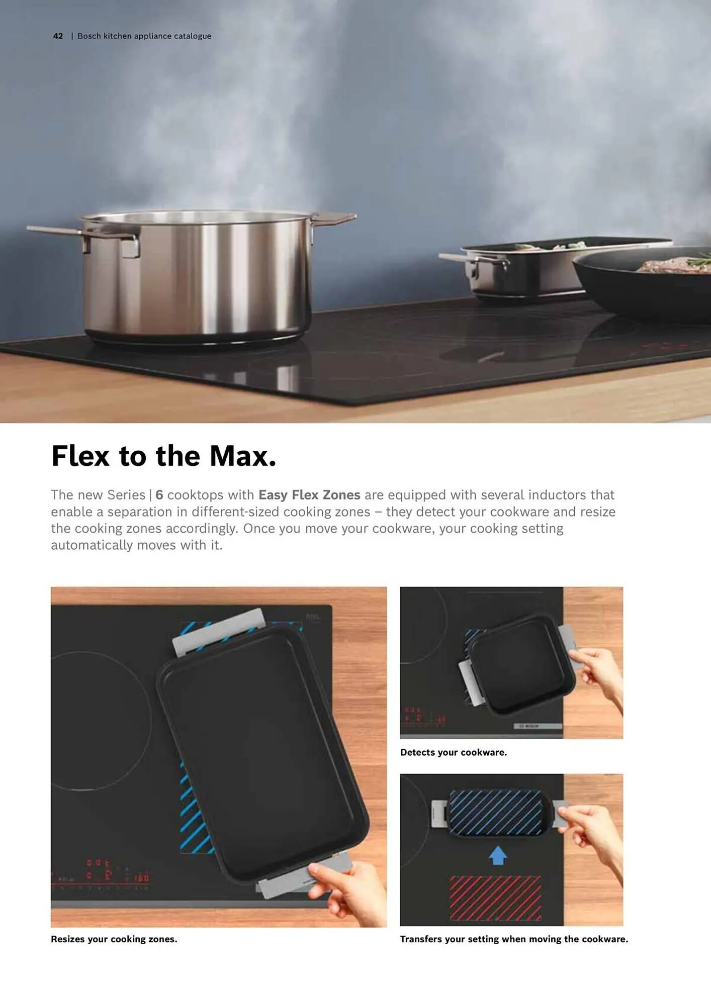 Bosch catalogue - Catalogue valid from 16 October to 30 April 2024 - page 42