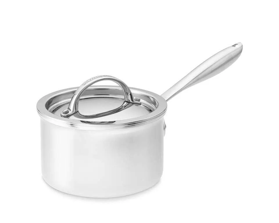 Williams Sonoma Thermo-Clad™ Stainless-Steel Saucepan