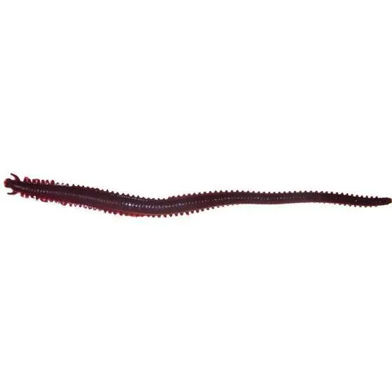 Berkley Gulp! Sandworm Soft Plastic Lure 6in Bloodworm