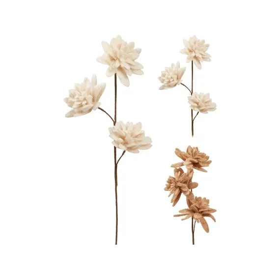 Tak Van Dahlia 45cm Assortiment