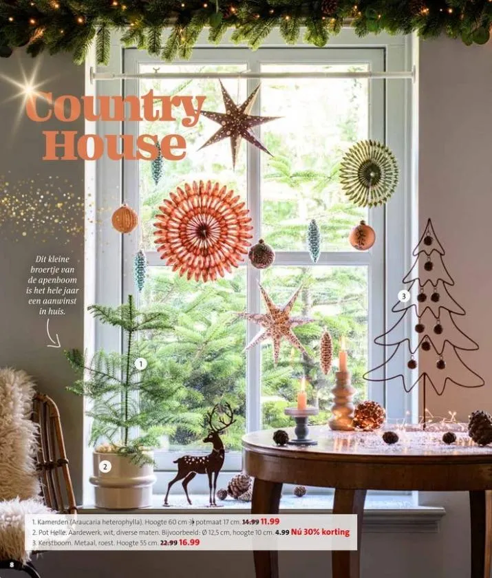 Intratuin folder tot 09.11.2025 van 1 november tot 9 november 2025 - folder pagina 8