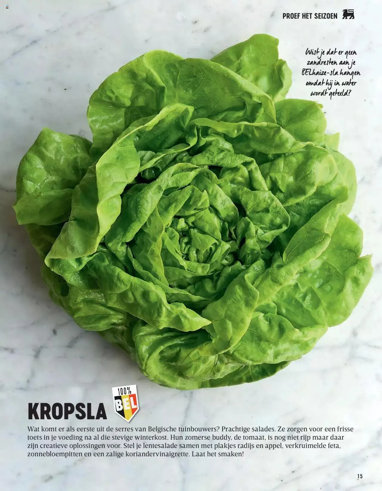 Delhaize Magazine N°69 NL van 31 mei tot 31 december 2023 - folder pagina 15