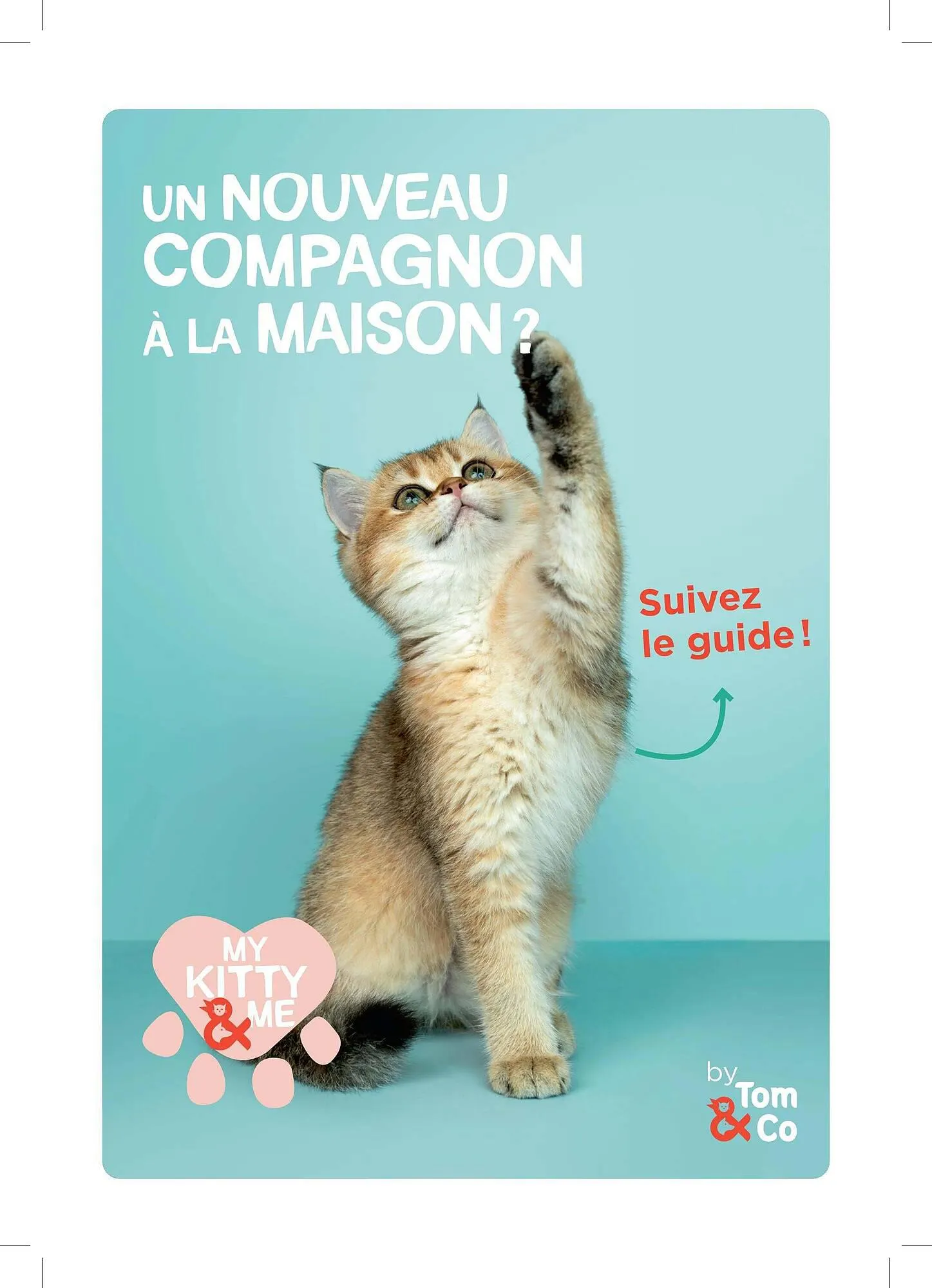 Tom&Co folder van 20 december tot 24 december 2023 - folder pagina 