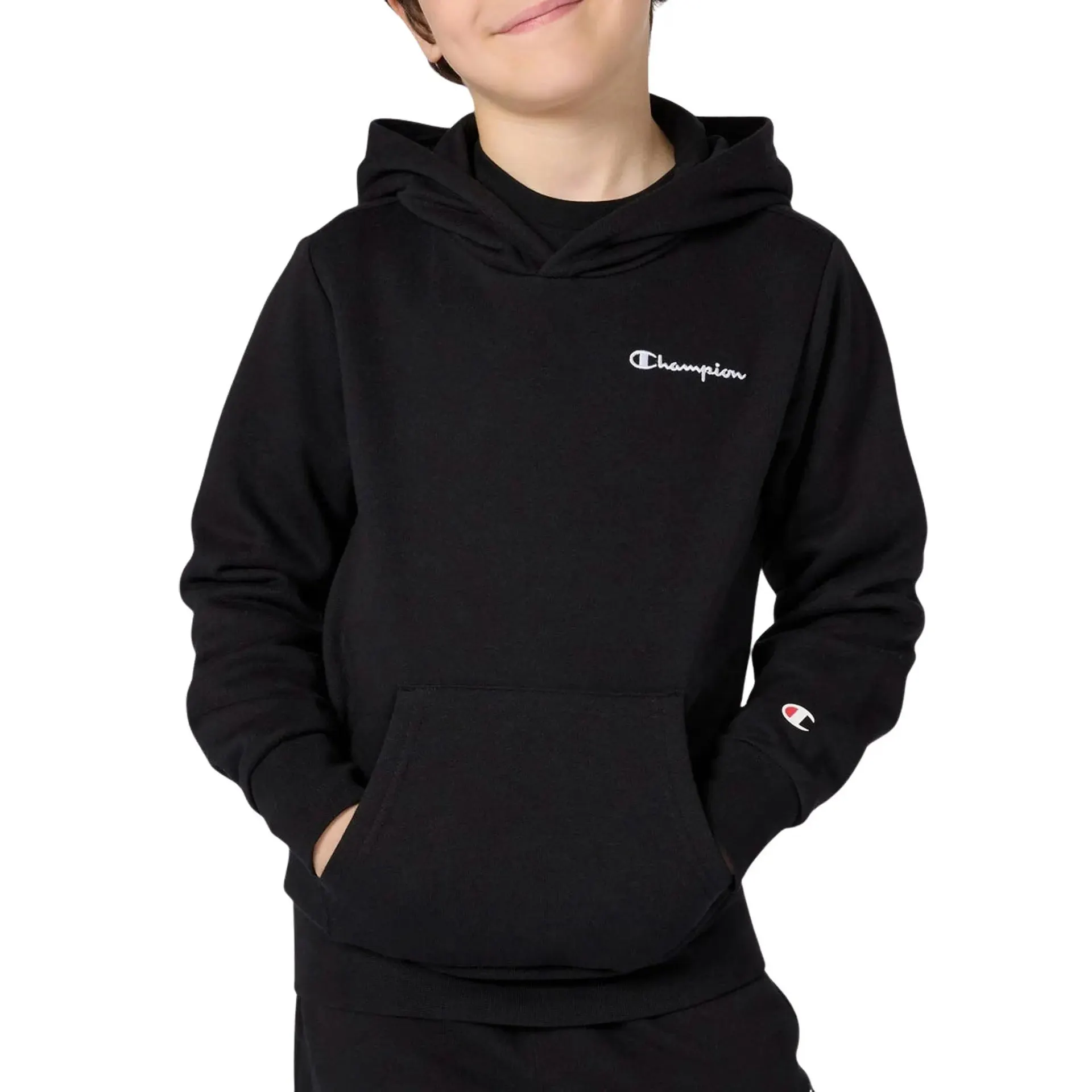 Icons Small Logo Hoodie Junior