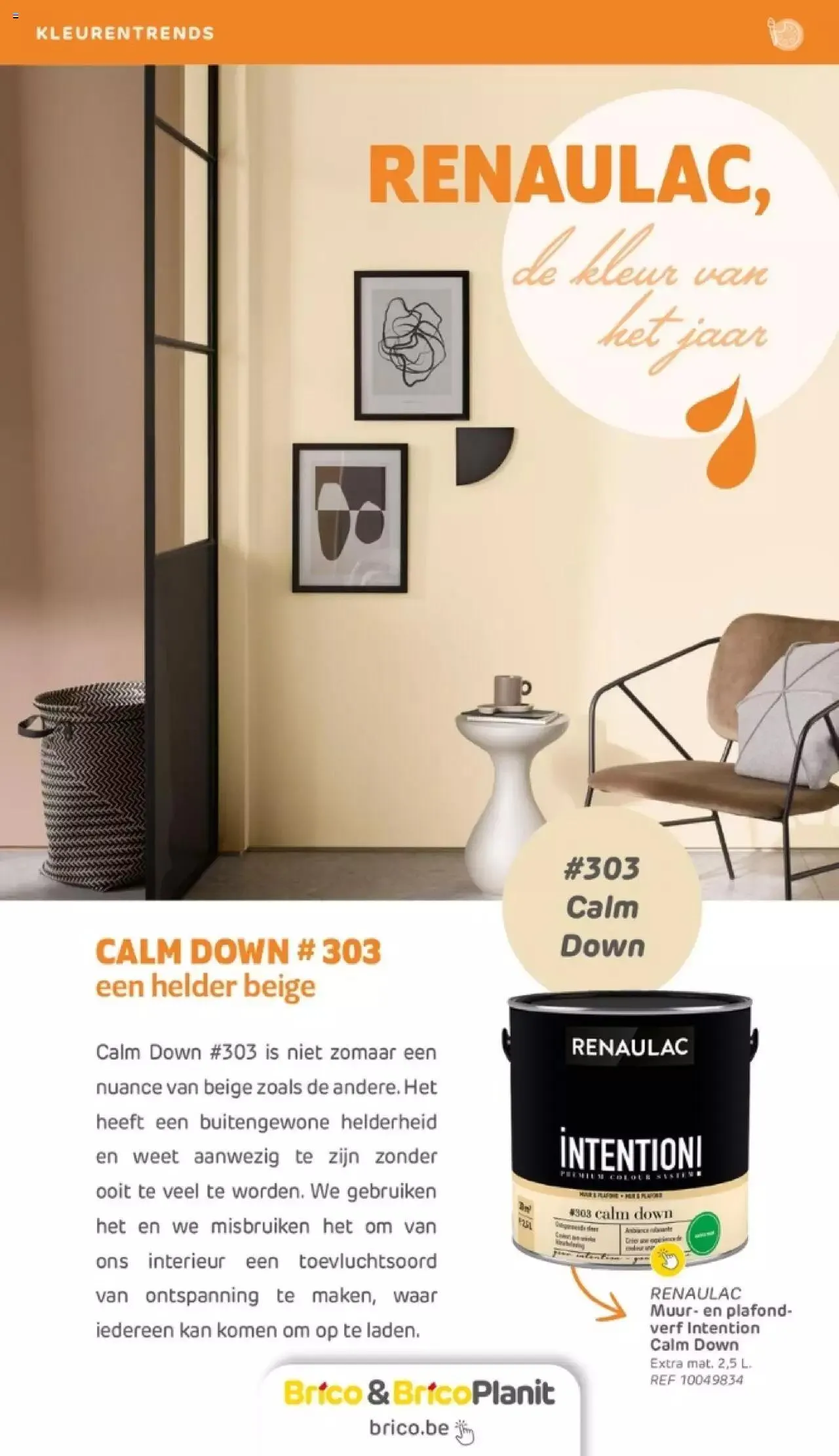 Brico - Verfmagazine van 14 juni tot 31 december 2023 - folder pagina 43