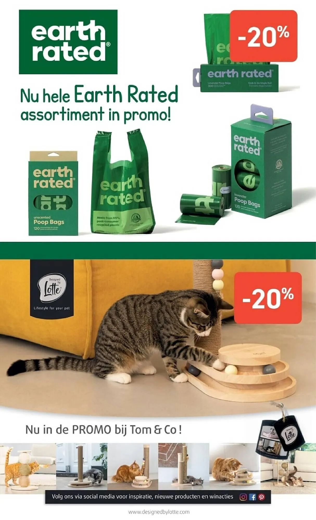 Tom&Co folder van 17 december tot 28 december 2025 - folder pagina 11