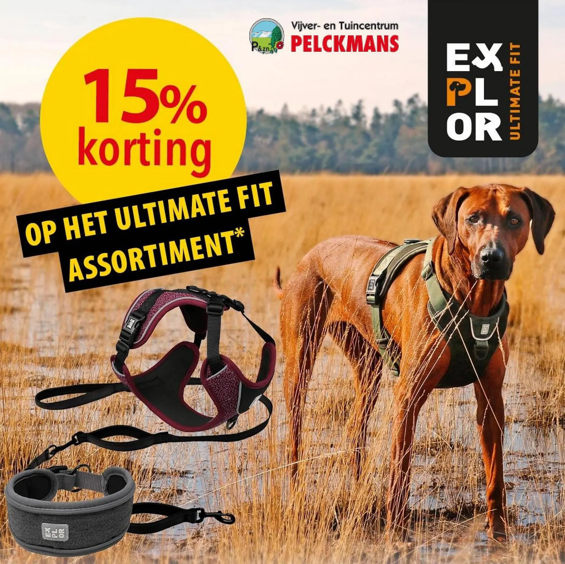 Pelckmans Folder - 1