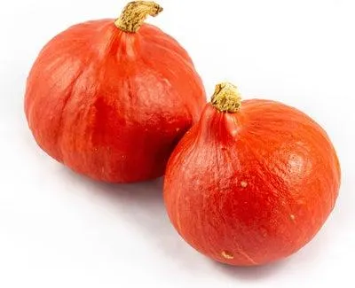 Pompoen (Cucurbita 'Rode Hokkaido') D 14 cm