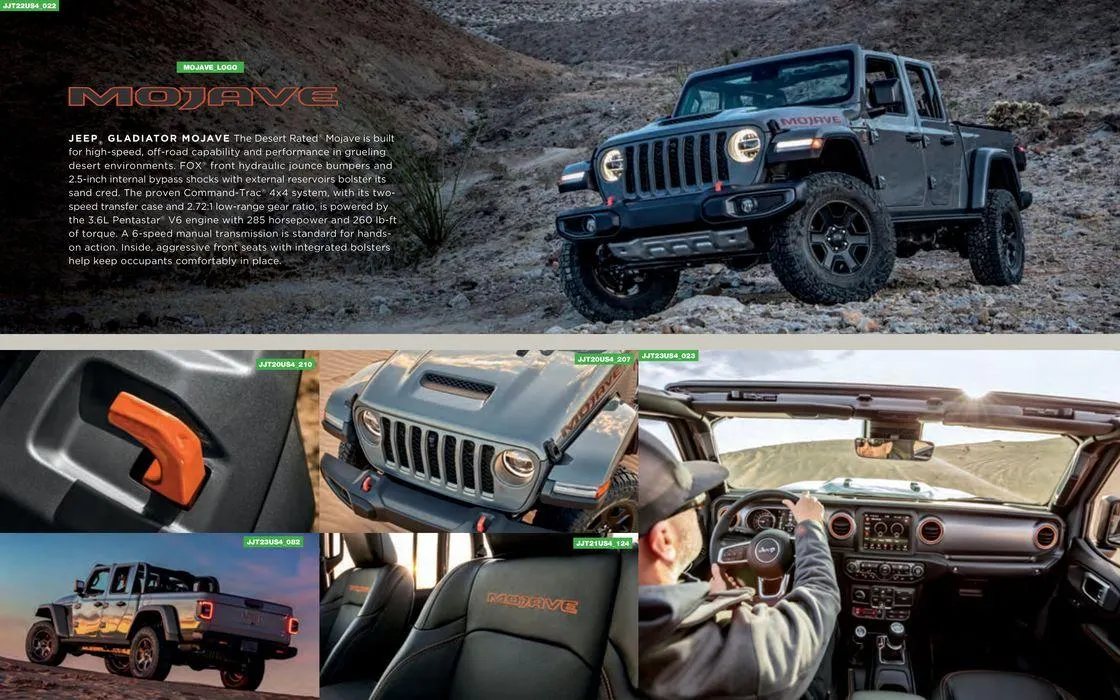 Gladiator van 17 november tot 17 november 2024 - folder pagina 31