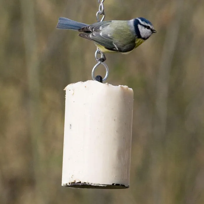 Premium pindacake original