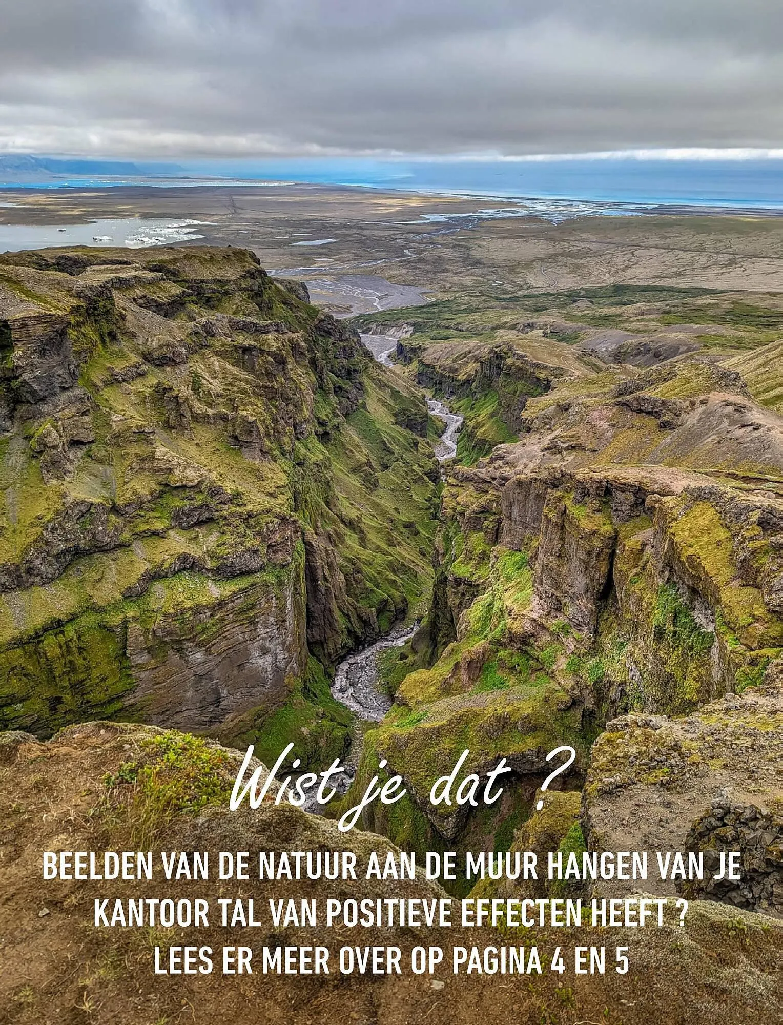 Buro Market folder van 2 september tot 8 september 2023 - folder pagina 2