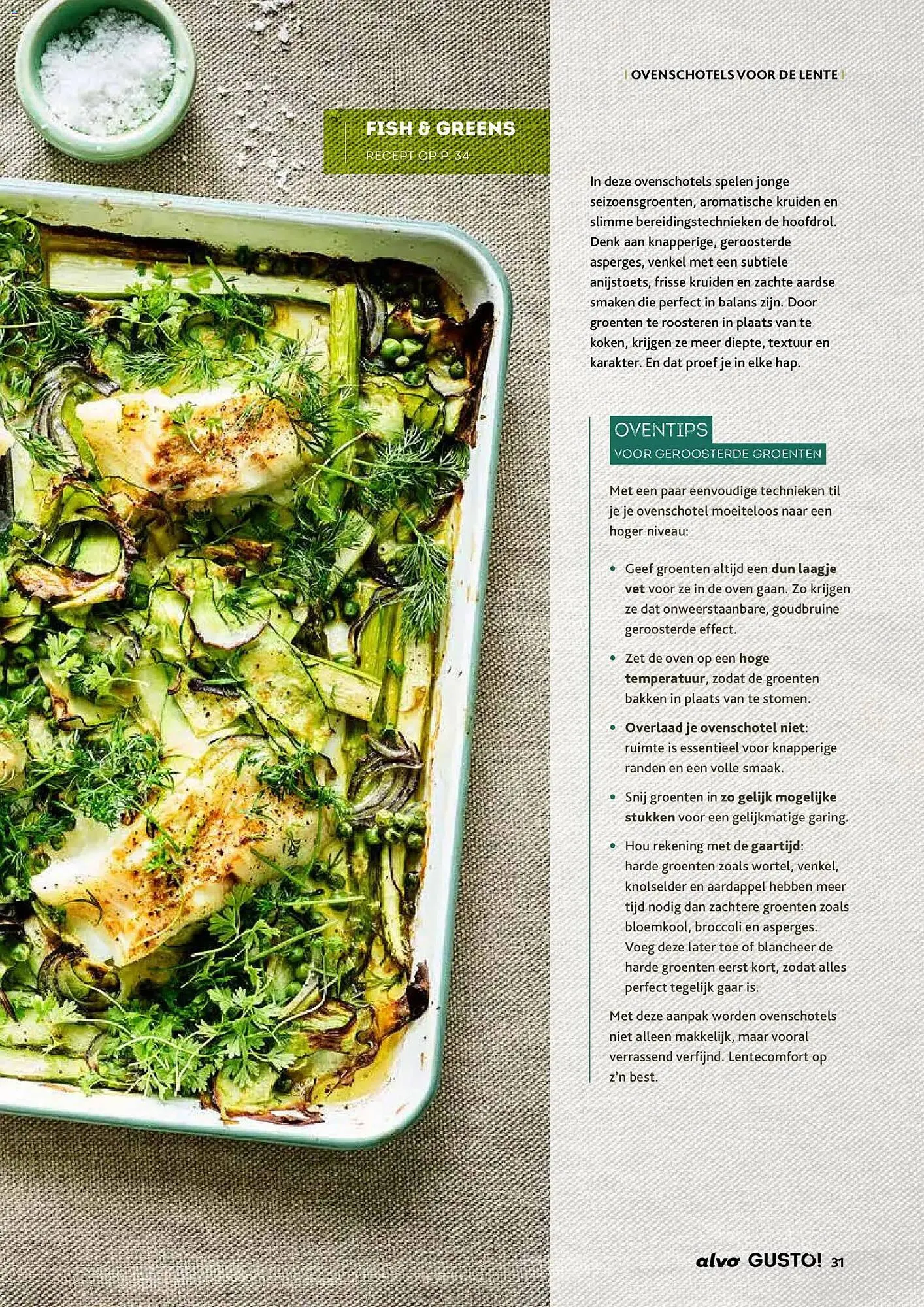 Alvo magazine van 25 maart tot 25 mei 2026 - folder pagina 31