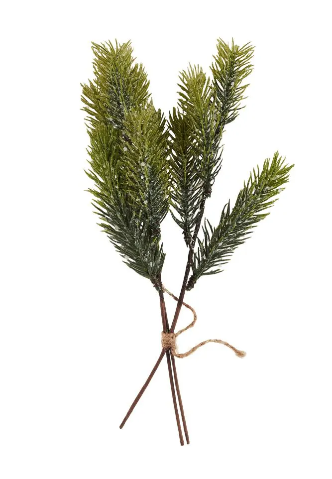 PINIUS Rami decorativi set di 3 verde