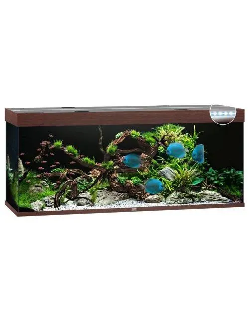 Juwel Aquarium Rio 450 Led 151x51x61 cm - Aquaria - Donker Hout