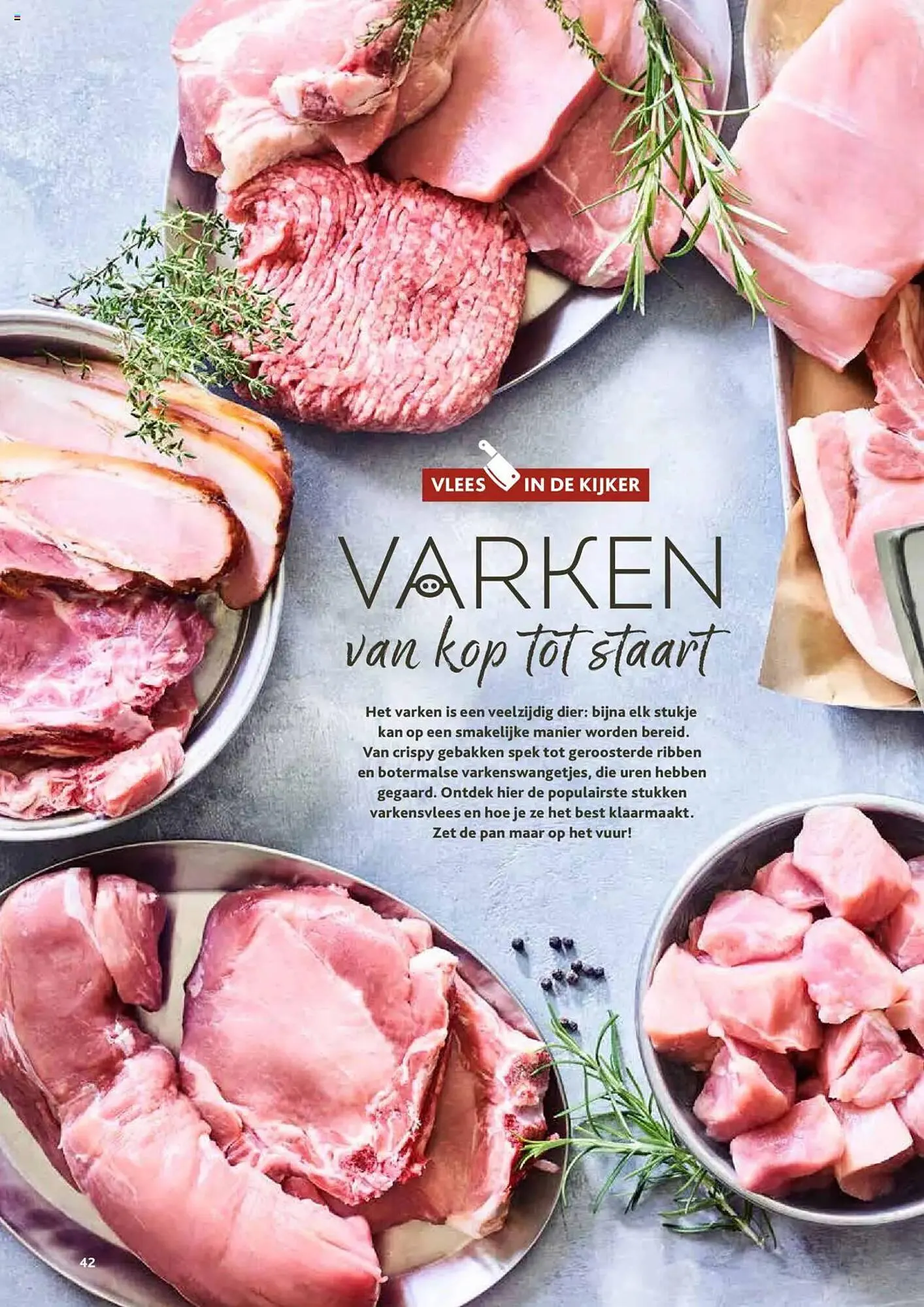 Alvo folder van 1 oktober tot 30 november 2025 - folder pagina 42