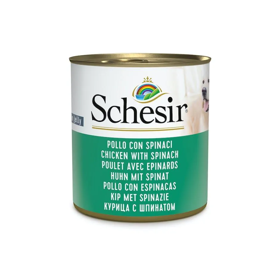 Schesir Dog 285g - KIP & SPINAZIE (gelatine)
