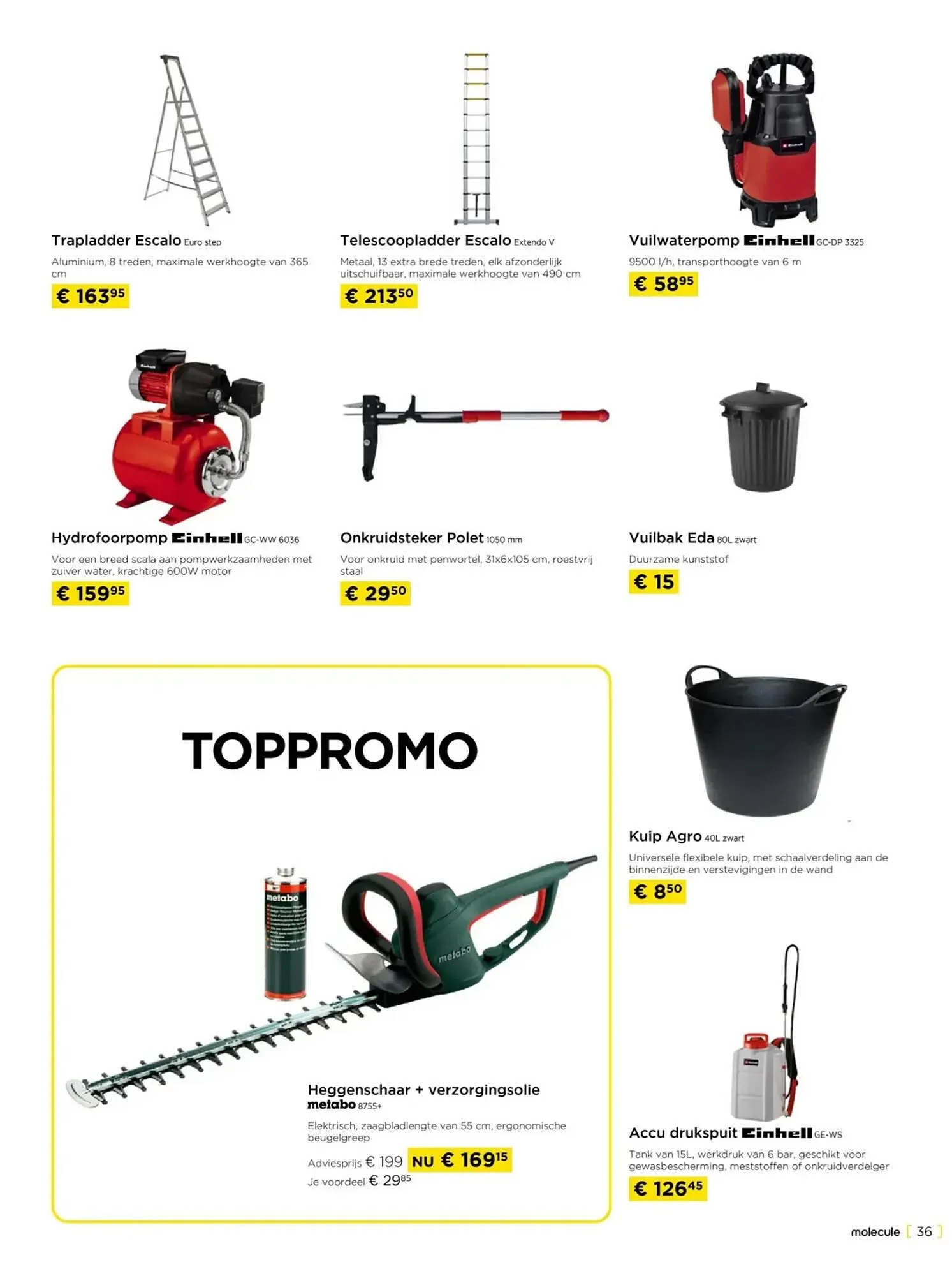 Molecule folder van 1 oktober tot 31 oktober 2023 - folder pagina 36