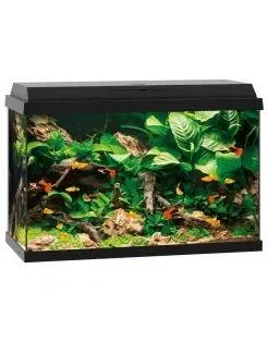 Juwel Aquarium Primo 70 61x31x44 cm - Aquaria