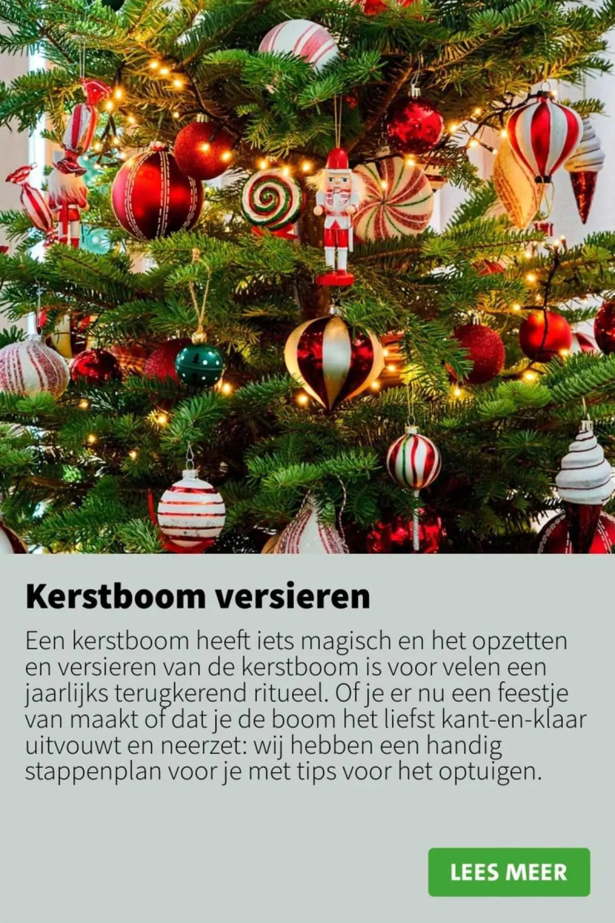 Intratuin Folder van 20 november tot 26 november 2023 - folder pagina 23