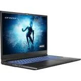 Specialist P10 MD62477 16" gaming laptop