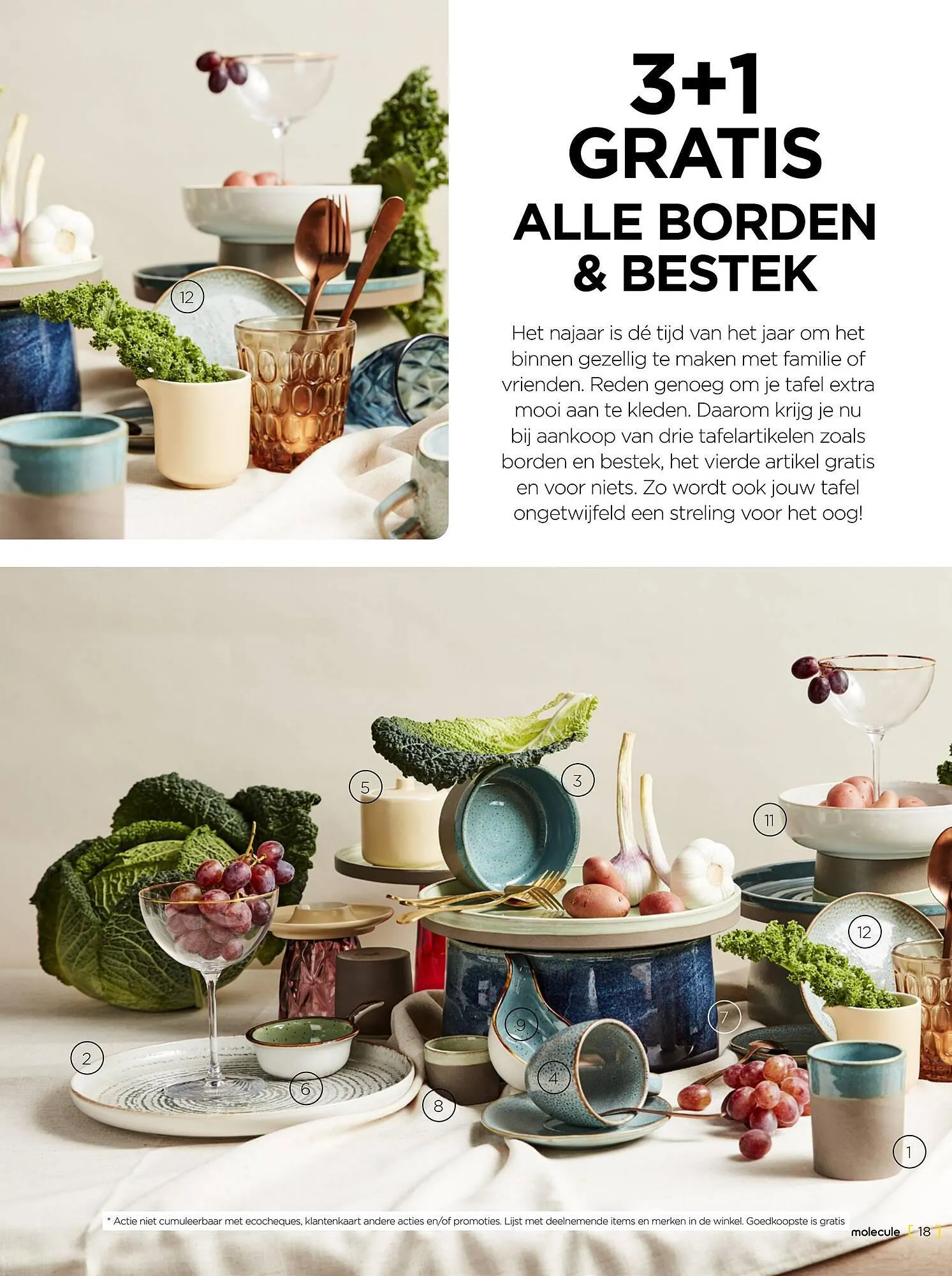 Molecule folder van 1 november tot 30 november 2023 - folder pagina 18