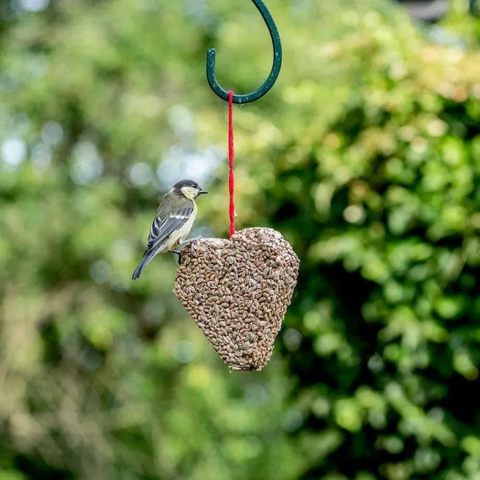 Zonnebloemkernen Hart