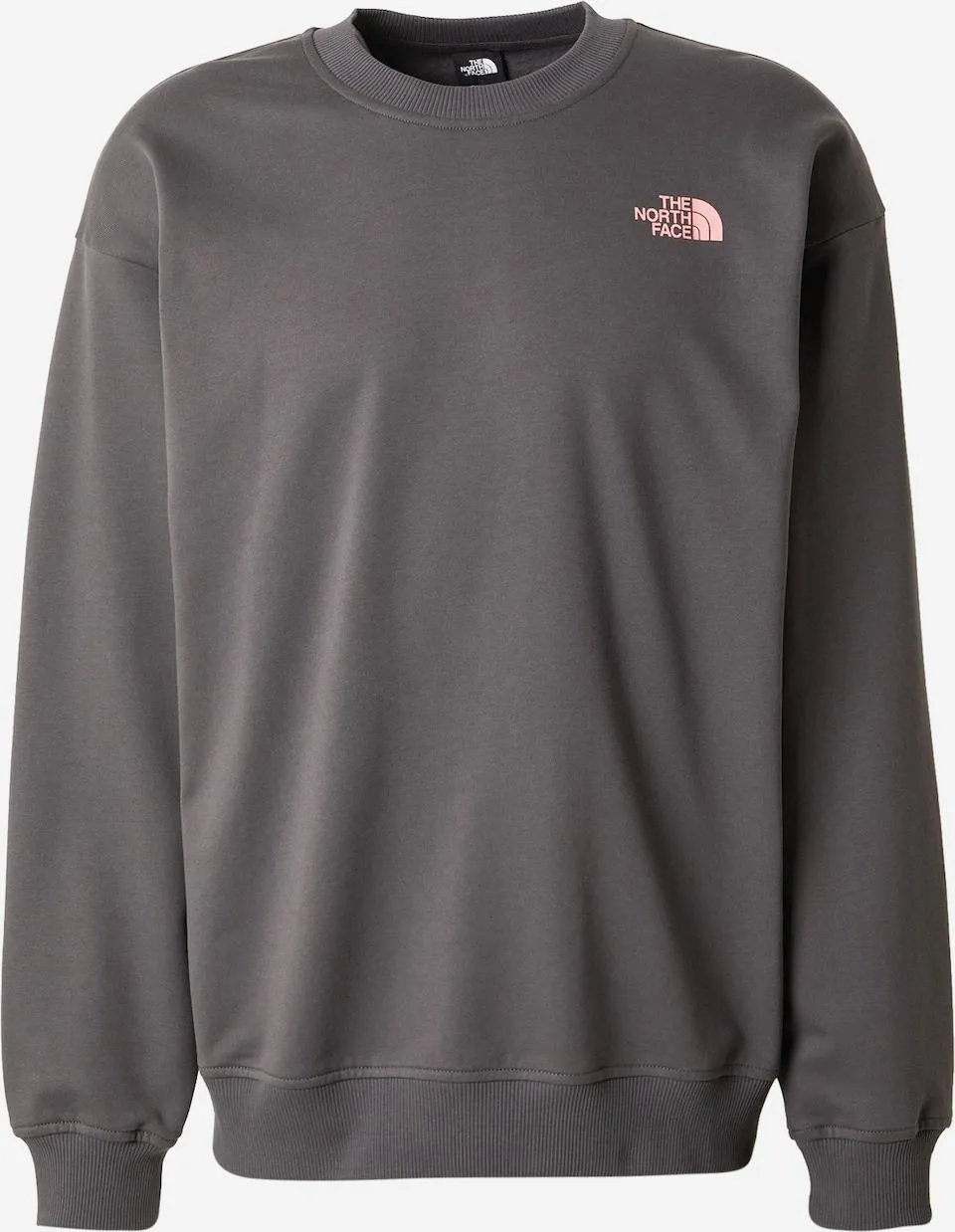 THE NORTH FACE Sweatshirt 'U Expedition Celebration' in Grijs