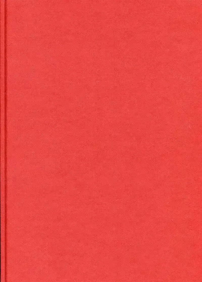 Dummie A4 rood structuur (MIS835)