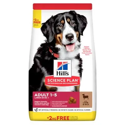 HILL'S SCIENCE PLAN Large Breed Adult Lam & Rijst 12+2kg gratis