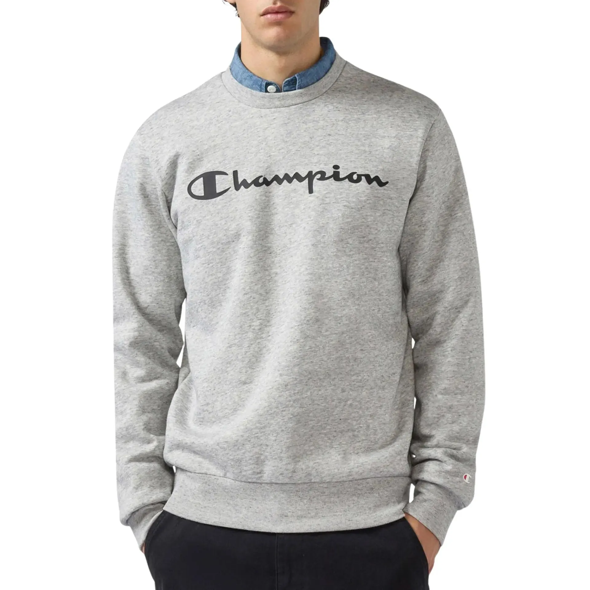 Script Logo Crewneck Sweater Heren
